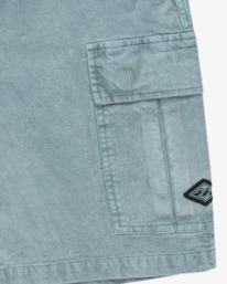 2 Larry 20" Blue EBYWS00129 Billabong