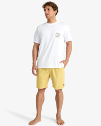 1 Larry Cord Yellow EBYWS00131 Billabong