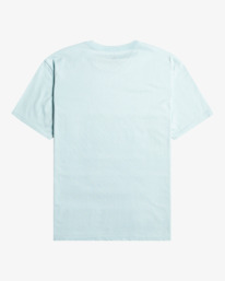 5 Inversed - T-Shirt für Männer Blau EBYZT00102 Billabong