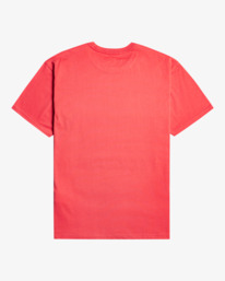 5 Swell - T-Shirt for Men Red EBYZT00103 Billabong