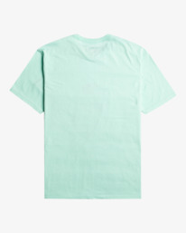 5 Rotor Fill - T-Shirt for Men Green EBYZT00105 Billabong