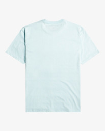 5 Rotor Fill - T-shirt pour Homme Bleu EBYZT00105 Billabong