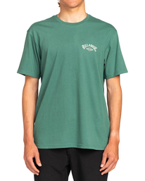 0 A/DIV Arch - T-shirt pour Homme Vert EBYZT00111 Billabong