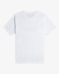 5 Swell - T-Shirt for Men White EBYZT00146 Billabong