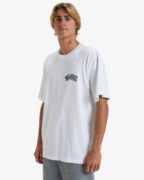 4 Lord Arch - Short Sleeves T-Shirt for Men White EBYZT00287 Billabong