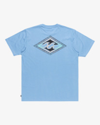 6 Crayon Wave - Short Sleeves T-Shirt for Men Blue EBYZT00292 Billabong