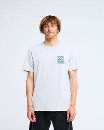0 Stamp Gris EBYZT00293 Billabong