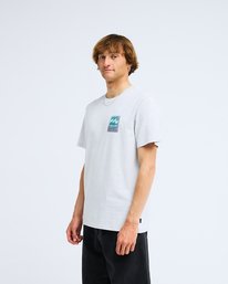 3 Stamp Gris EBYZT00293 Billabong