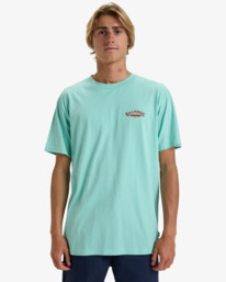 0 Dreamy Place - T-shirt à manches courtes pour Homme Vert EBYZT00294 Billabong