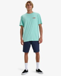 1 Dreamy Place - T-shirt à manches courtes pour Homme Vert EBYZT00294 Billabong