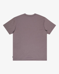 6 Arch Frame - T-Shirt für Männer Grau EBYZT00341 Billabong