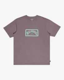 5 Arch Frame - T-Shirt für Männer Grau EBYZT00341 Billabong