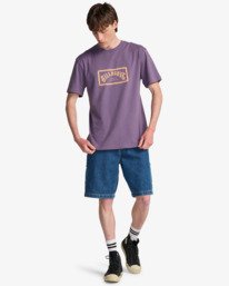 2 Arch Frame - T-shirt met korte mouwen voor Heren Purple EBYZT00341 Billabong