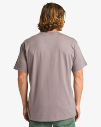 1 Arch Frame - T-Shirt für Männer Grau EBYZT00341 Billabong