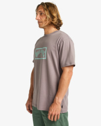 3 Arch Frame - T-Shirt für Männer Grau EBYZT00341 Billabong