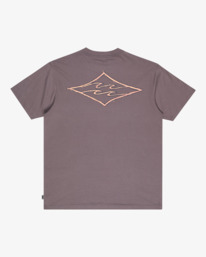 6 Crayon Wave - T-Shirt à manches courtes pour Homme Gris EBYZT00357 Billabong