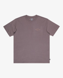 5 Crayon Wave - T-Shirt à manches courtes pour Homme Gris EBYZT00357 Billabong