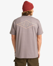 1 Crayon Wave - T-Shirt à manches courtes pour Homme Gris EBYZT00357 Billabong
