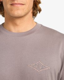 4 Crayon Wave - T-Shirt à manches courtes pour Homme Gris EBYZT00357 Billabong