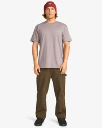 2 Crayon Wave - T-Shirt à manches courtes pour Homme Gris EBYZT00357 Billabong