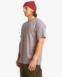 3 Crayon Wave - T-Shirt à manches courtes pour Homme Gris EBYZT00357 Billabong