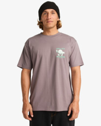 0 Gimmicks - Maglietta a maniche corte da Uomo Gray EBYZT00363 Billabong