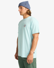 3 Segment - T-shirt met korte mouwen voor Heren Blue EBYZT00364 Billabong