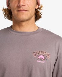 4 Origin - Camiseta de manga larga para hombre Gris EBYZT00370 Billabong