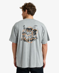 1 Mogul Paradise Og - T-shirt de manga curta para homem Cinza EBYZT00378 Billabong