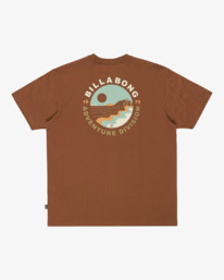 6 Rockies - Short Sleeve T-Shirt for Men Brown EBYZT00380 Billabong