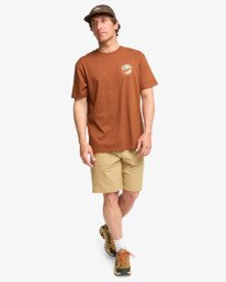 2 Rockies - Short Sleeve T-Shirt for Men Brown EBYZT00380 Billabong