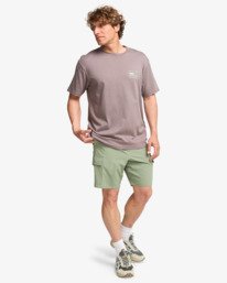 2 Range - T-Shirt für Männer Grau EBYZT00382 Billabong