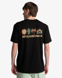 1 Segment - T-shirt met korte mouwen voor Heren Black EBYZT00509 Billabong