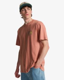 3 Crayon Wave - Short Sleeve T-Shirt for Men Pink EBYZT00525 Billabong