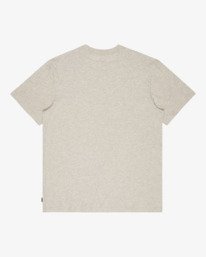 6 Icon Wave - T-shirt met korte mouwen voor Heren Gray EBYZT00575 Billabong