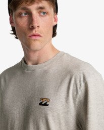 4 Icon Wave - T-shirt met korte mouwen voor Heren Gray EBYZT00575 Billabong