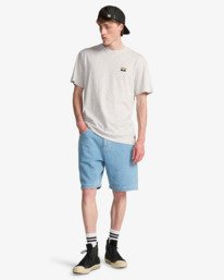 2 Icon Wave - T-shirt met korte mouwen voor Heren Gray EBYZT00575 Billabong