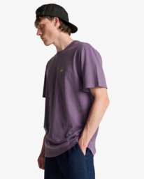 3 Icon Wave - T-shirt met korte mouwen voor Heren Purple EBYZT00575 Billabong