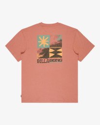 6 Good Times - T-shirt met korte mouwen voor Heren Pink EBYZT00578 Billabong