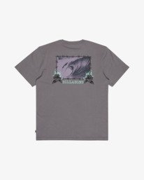 5 Retro Poster Gris EBYZT00610 Billabong