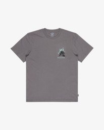 4 Retro Poster Gris EBYZT00610 Billabong