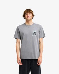 0 Retro Poster Gris EBYZT00610 Billabong