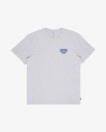 4 Re Issue Gris EBYZT00611 Billabong