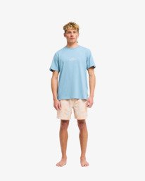 1 Ty Williams Droppin Bleu EBYZT00649 Billabong