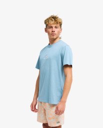 3 Ty Williams Droppin Bleu EBYZT00649 Billabong