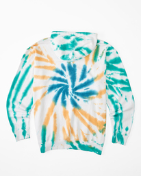 9 Plants Dance - Kapuzenpulli für Männer Braun F1FL44BIF2 Billabong