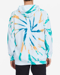 4 Plants Dance - Kapuzenpulli für Männer Braun F1FL44BIF2 Billabong