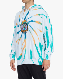 5 Plants Dance - Kapuzenpulli für Männer Braun F1FL44BIF2 Billabong