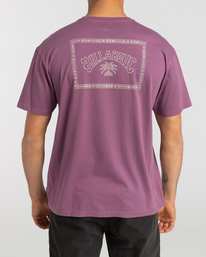 3 Arch Theme - T-shirt para Homem  F1SS25BIF2 Billabong