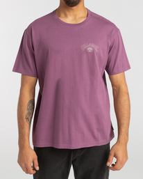 2 Arch Theme - T-shirt para Homem  F1SS25BIF2 Billabong